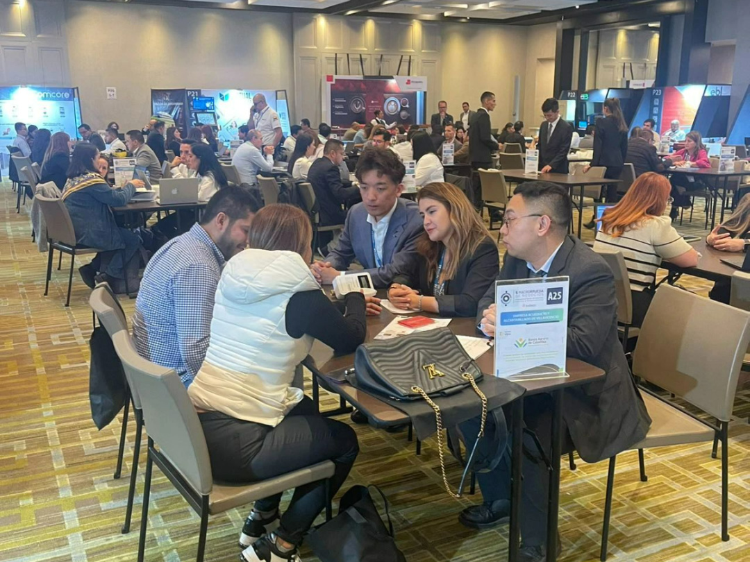 6639e20561b4d.jpg 181877.jpg