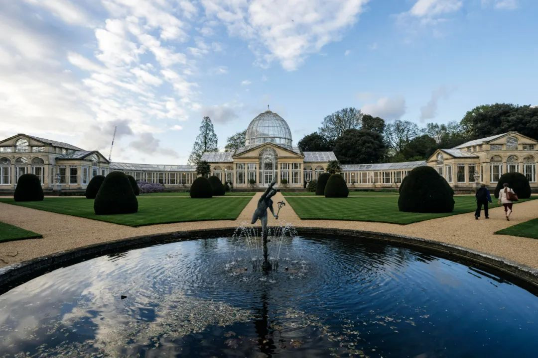 6639ef363a241.jpg 8181.jpg